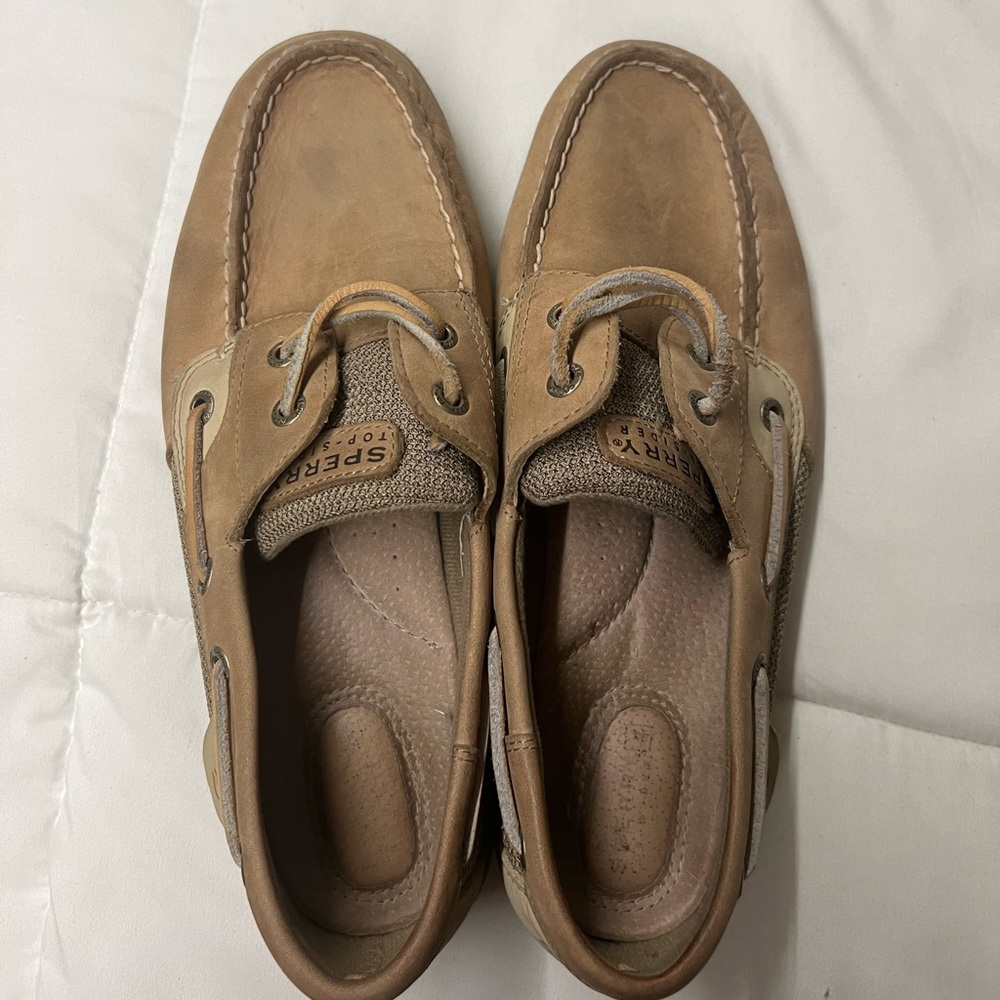 Sperry boat shows